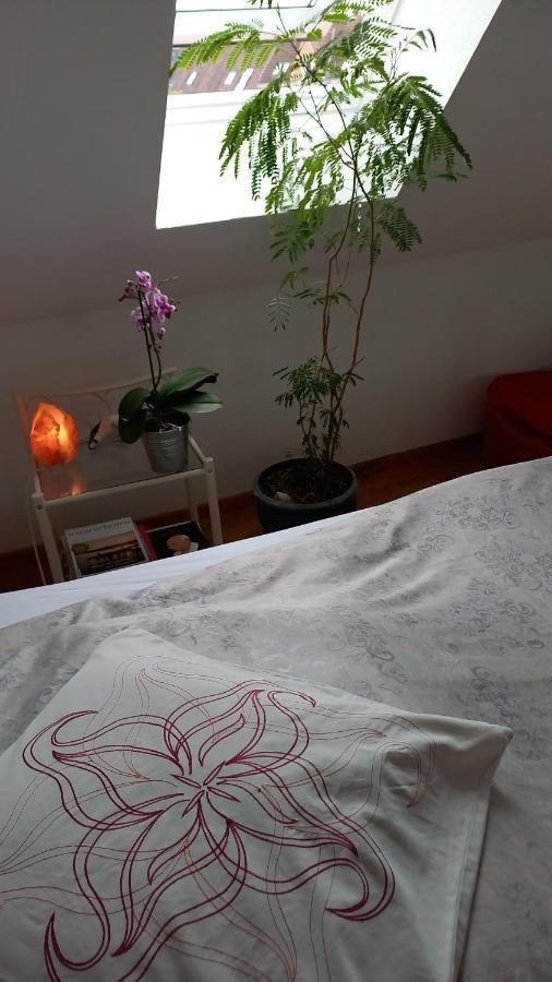 Agnes Vintage Home Hannover Kültér fotó